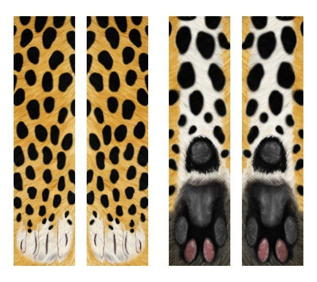 3D Animal Paw Socks Cute Cat Claws Socks Unisex Long Socks - The Nex Store
