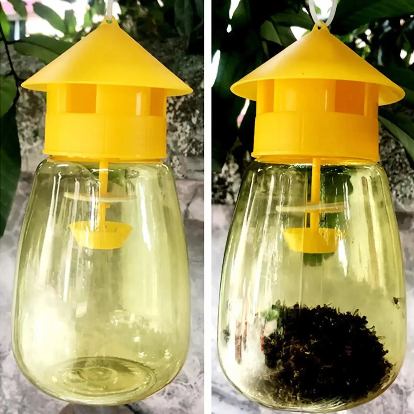 Fruit Fly Trap Killer Plastic Drosophila Trap Anti Fly Fruit Fly Killer Catcher Orchard Insect Trap Pest Control Products Drop - The Nex Store