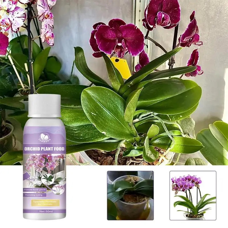50ml Orchid Fertilizer Liquid Orchid Flower Plants Growth Enhancer Supplement Houseplants Food Promoter For Orchids Acid Blooms - The Nex Store