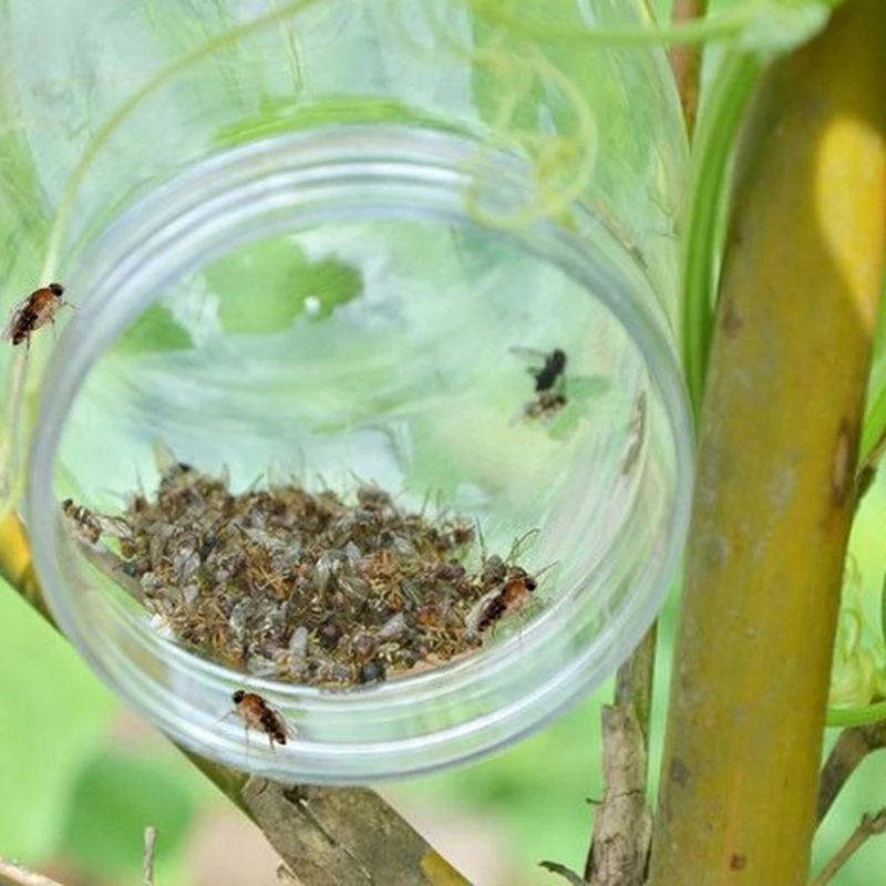 Fruit Fly Trap Killer Plastic Drosophila Trap Anti Fly Fruit Fly Killer Catcher Orchard Insect Trap Pest Control Products Drop - The Nex Store